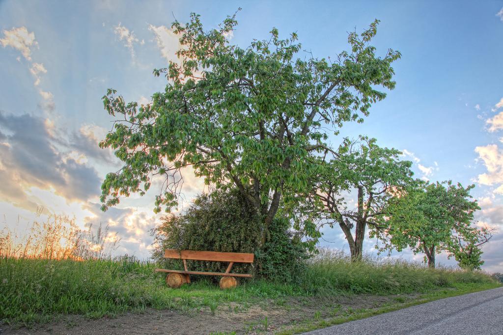 Windhör Saxen Exteriör bild