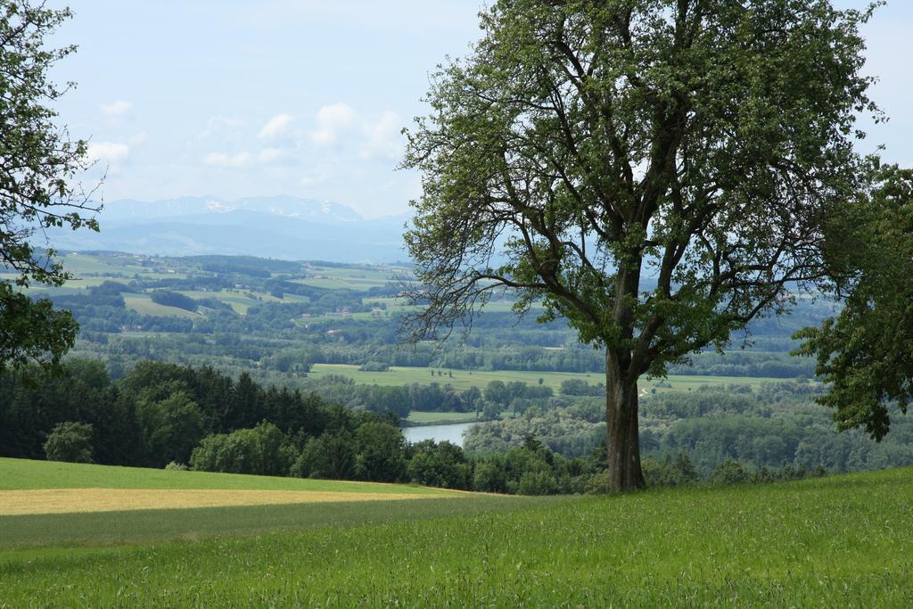 Windhör Saxen Exteriör bild